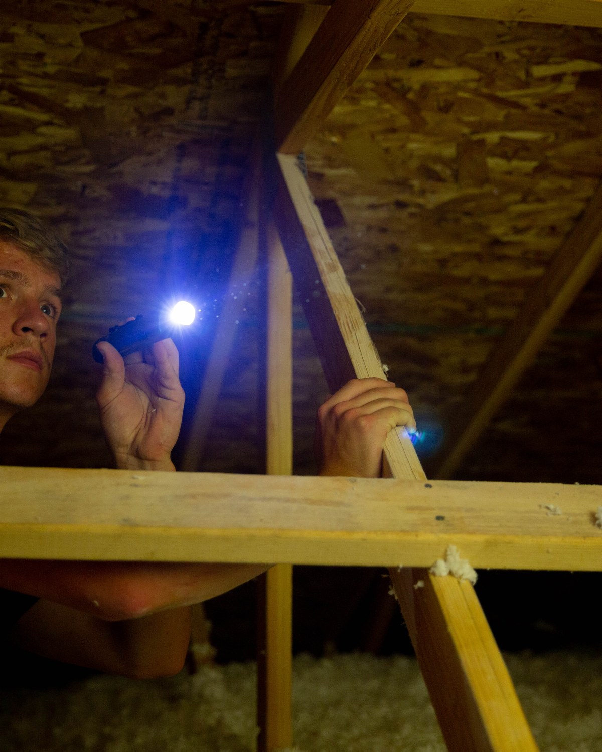 Sam Belza using a flashlight to inspect attic insulation and roof framing